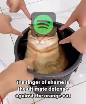 People pointing at a cat in a bucket with the Spotify logo superimposed over the cat